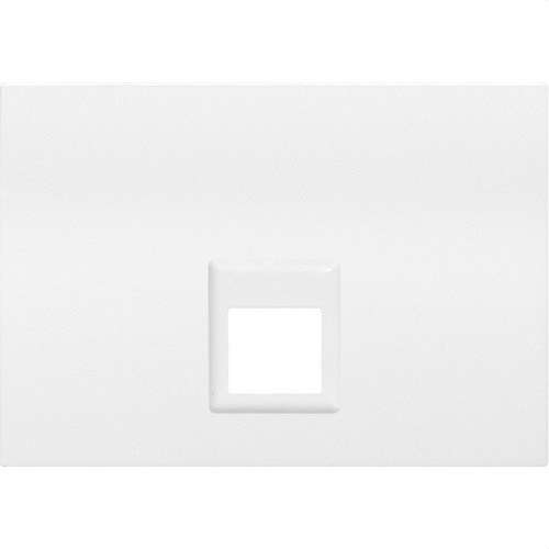 Double RJ11 or RJ45 Socket Cover White Coral with reference 21882 from the brand BJC